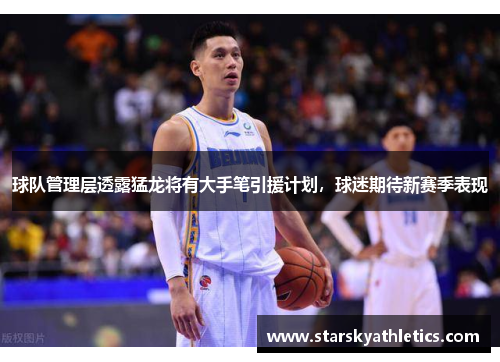 球队管理层透露猛龙将有大手笔引援计划，球迷期待新赛季表现