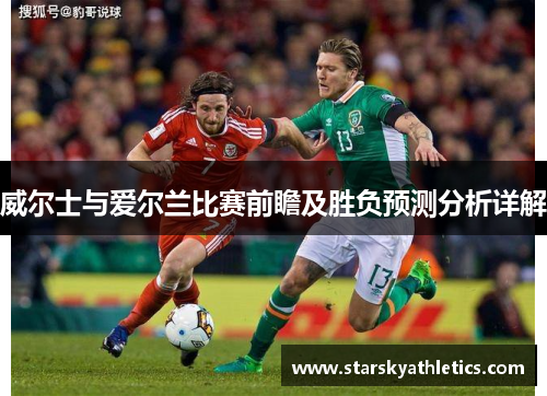 威尔士与爱尔兰比赛前瞻及胜负预测分析详解